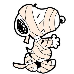 Meet your Posher, Teresa